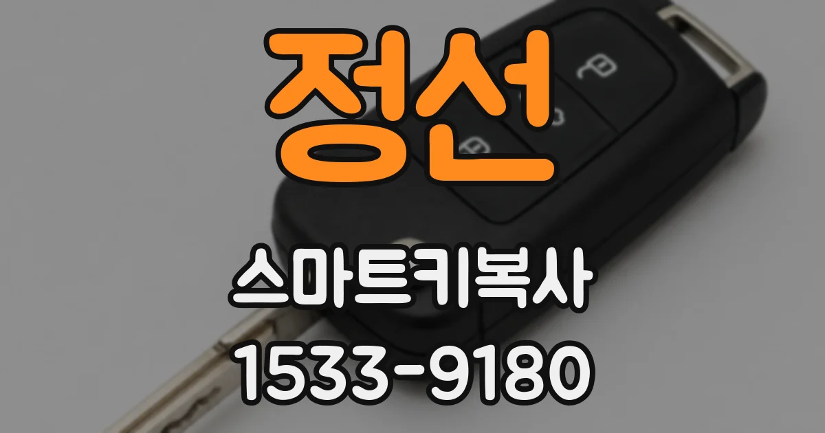정선 스마트키복사