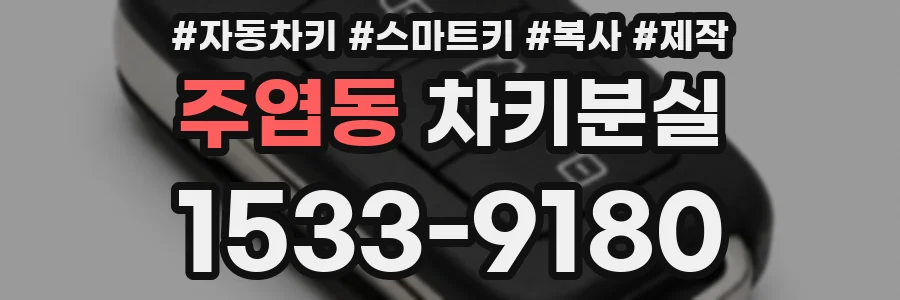 주엽동 차키분실