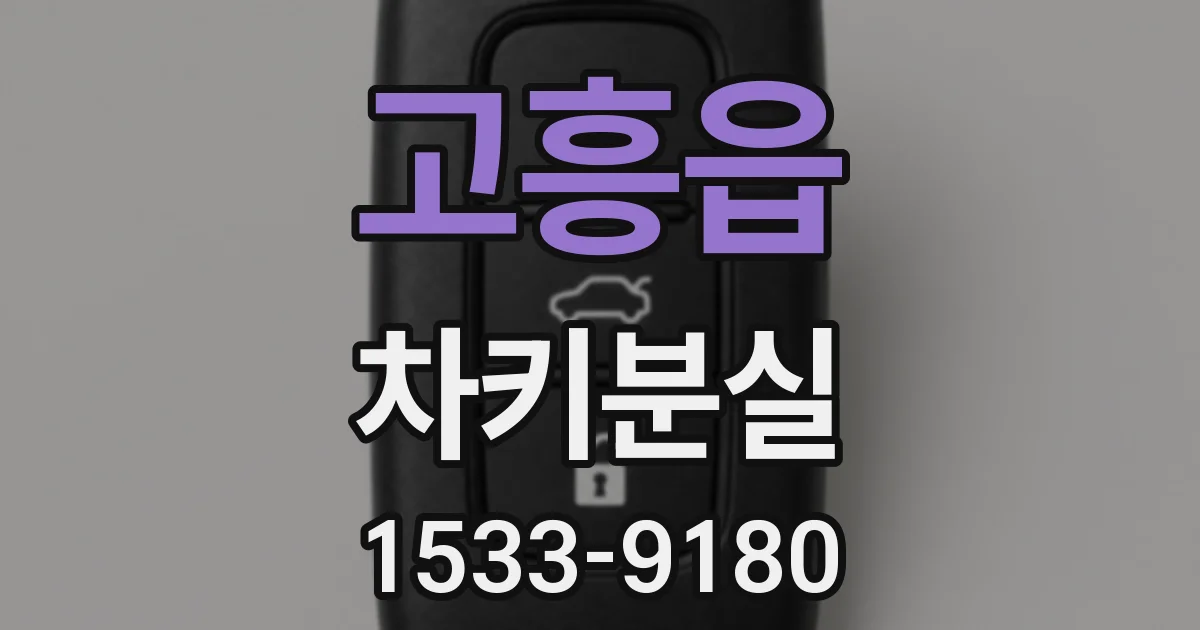 고흥읍 차키분실