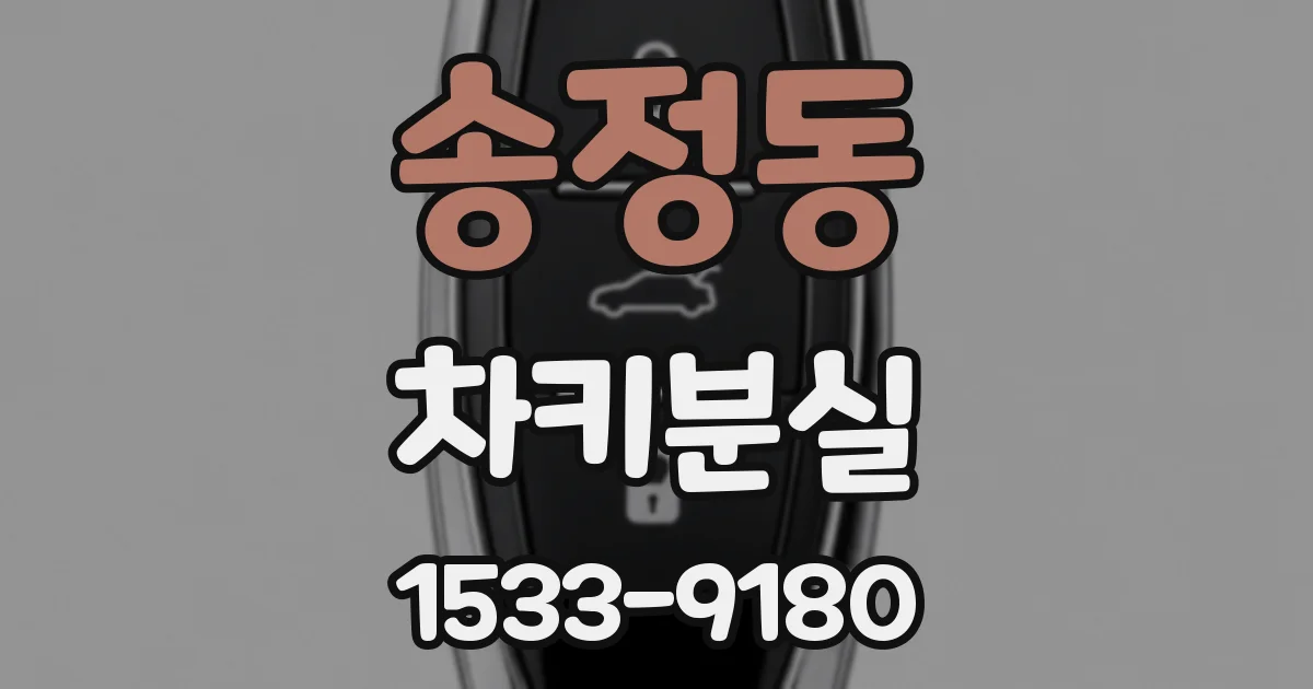 송정동 차키분실