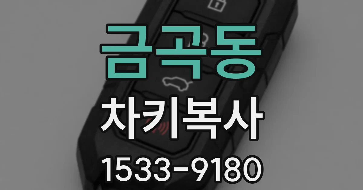 금곡동 차키복사