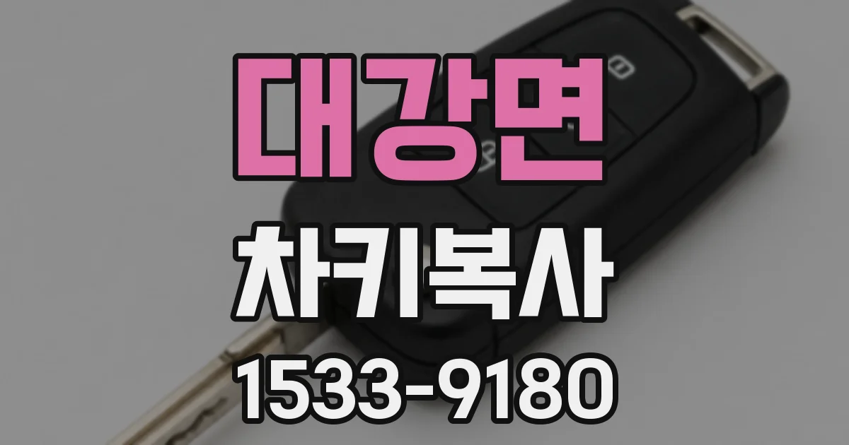 대강면 차키복사