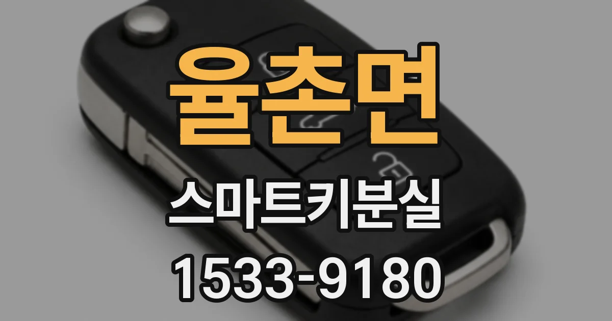 율촌면 스마트키분실