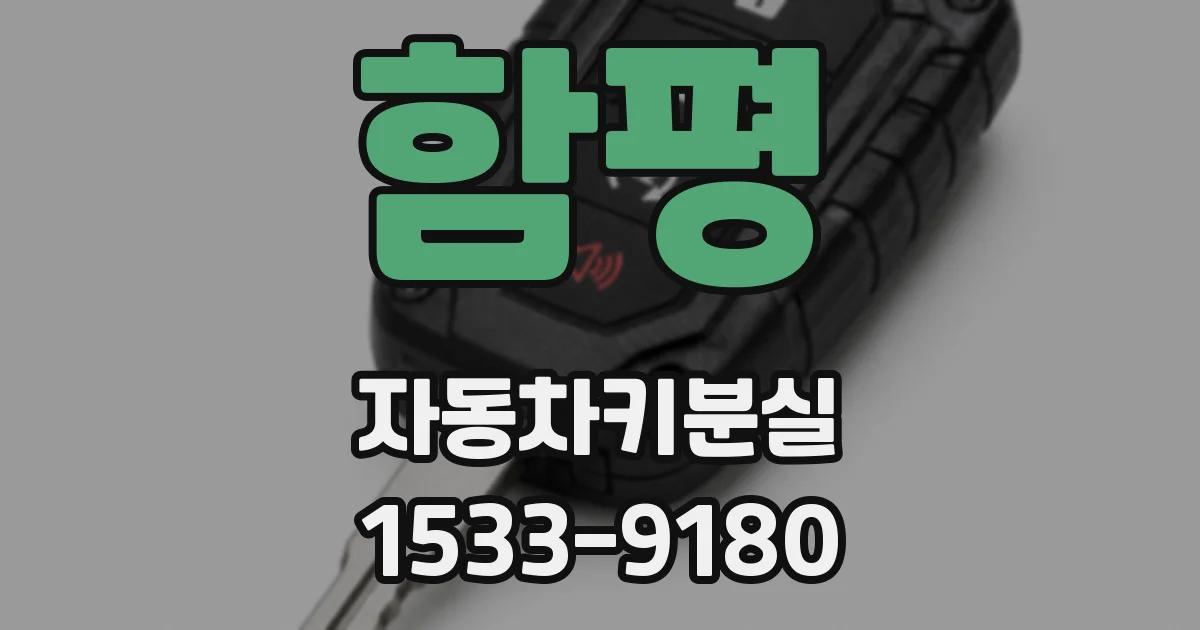 함평 자동차키분실