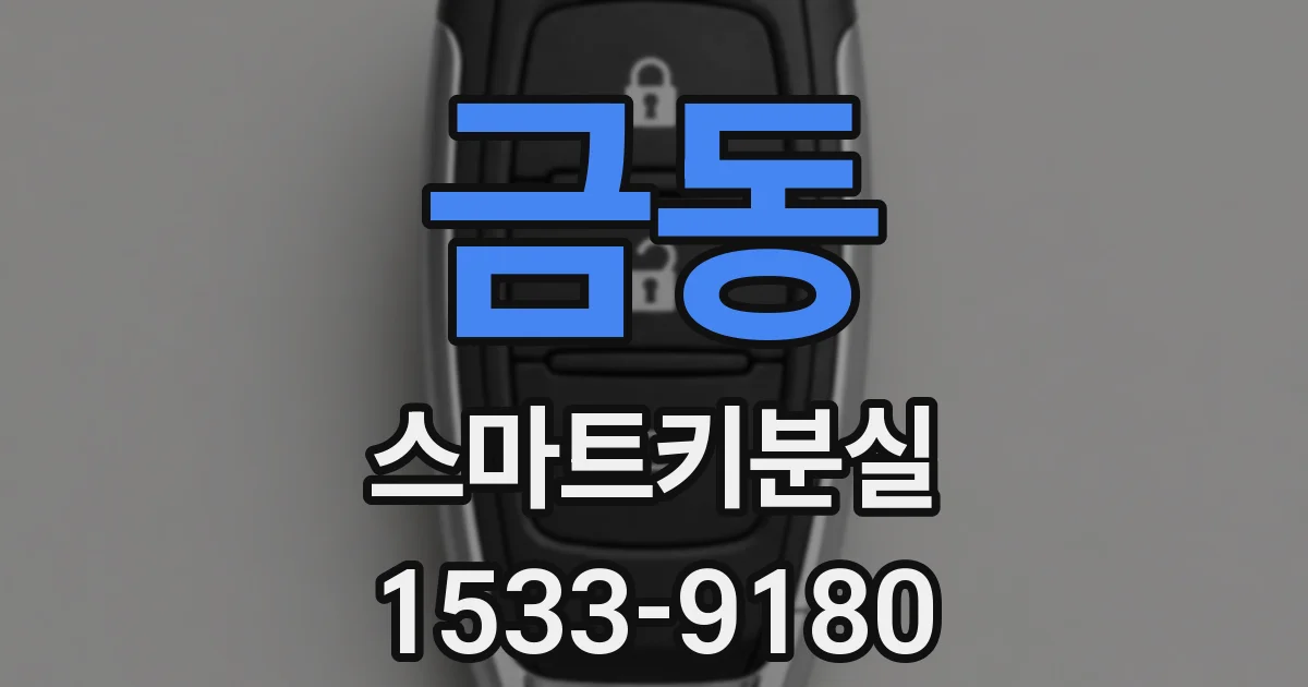 금동 스마트키분실