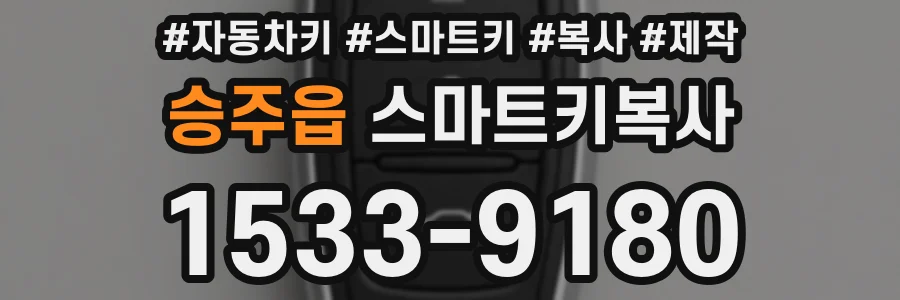 승주읍 스마트키복사