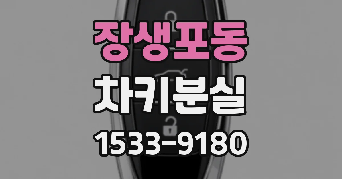 장생포동 차키분실