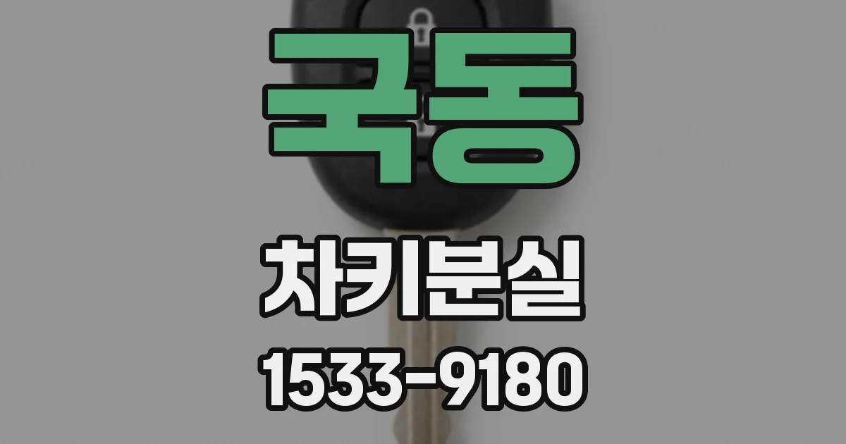 국동 차키분실