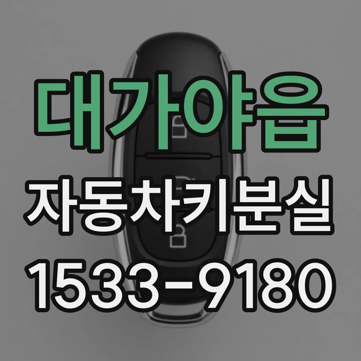 대가야읍 자동차키분실