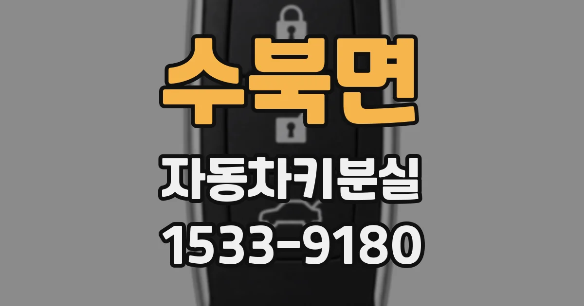 수북면 자동차키분실