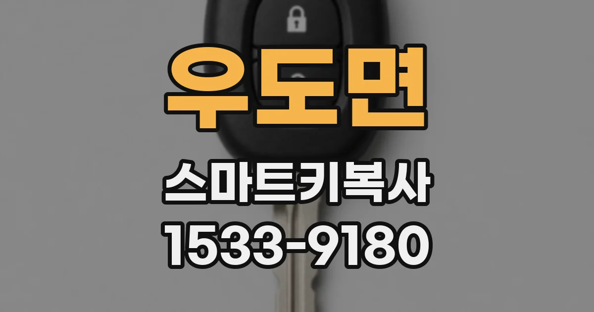 우도면 스마트키복사