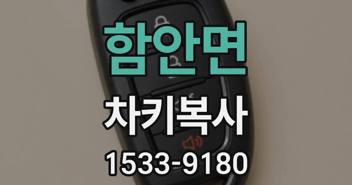 함안면 차키복사