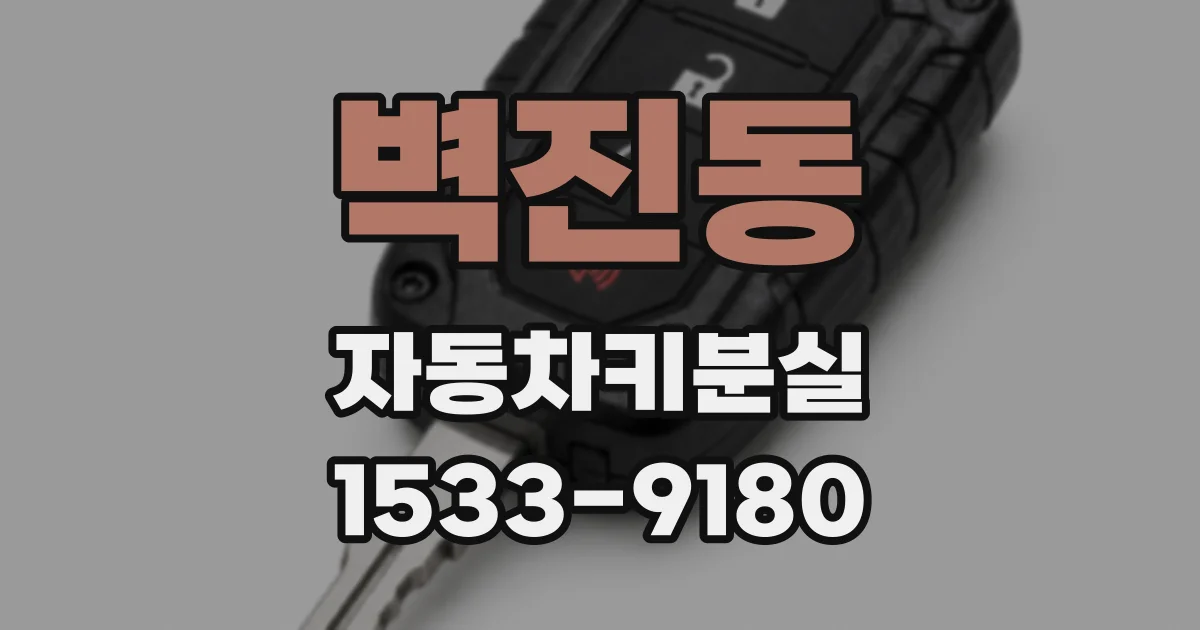 벽진동 자동차키분실