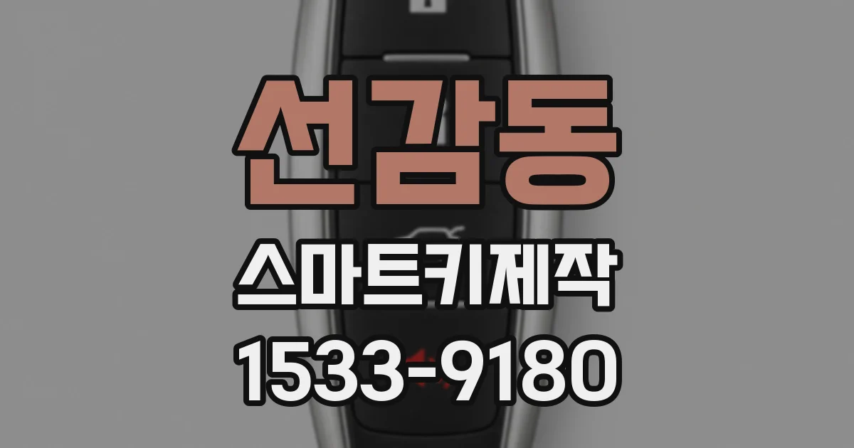 선감동 스마트키제작