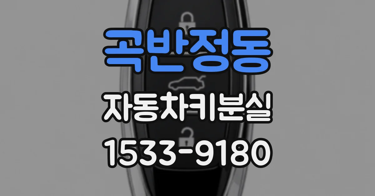 곡반정동 자동차키분실
