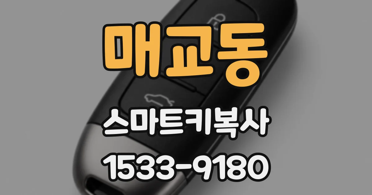 매교동 스마트키복사