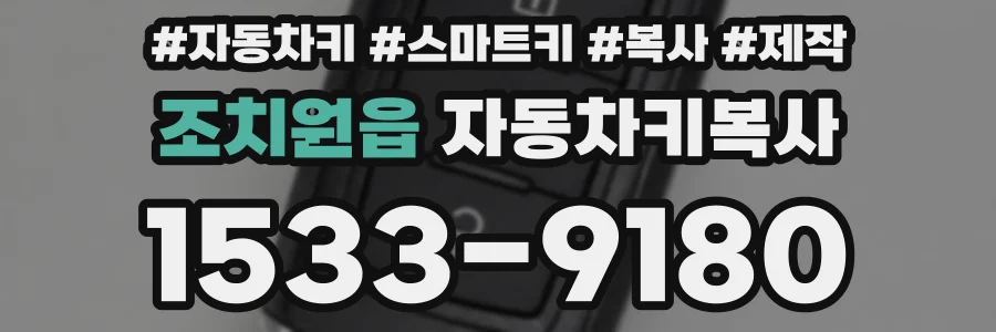 조치원읍 자동차키복사