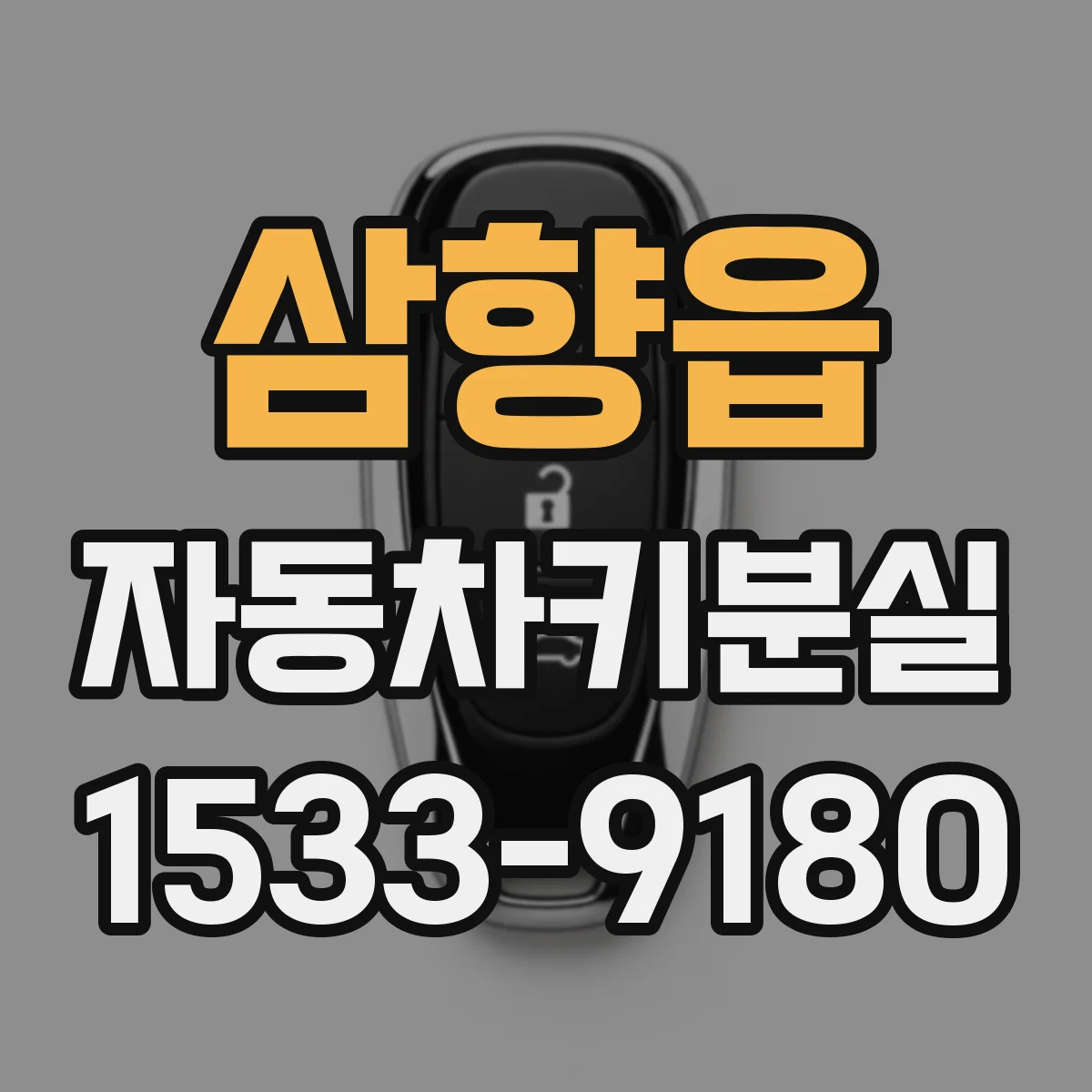 삼향읍 자동차키분실