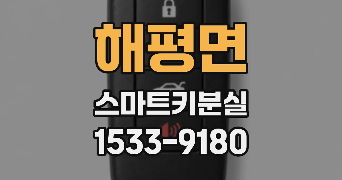 해평면 스마트키분실