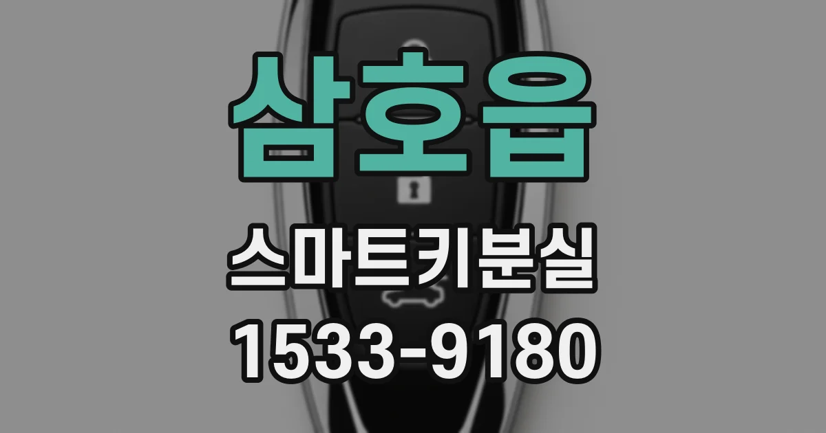 삼호읍 스마트키분실