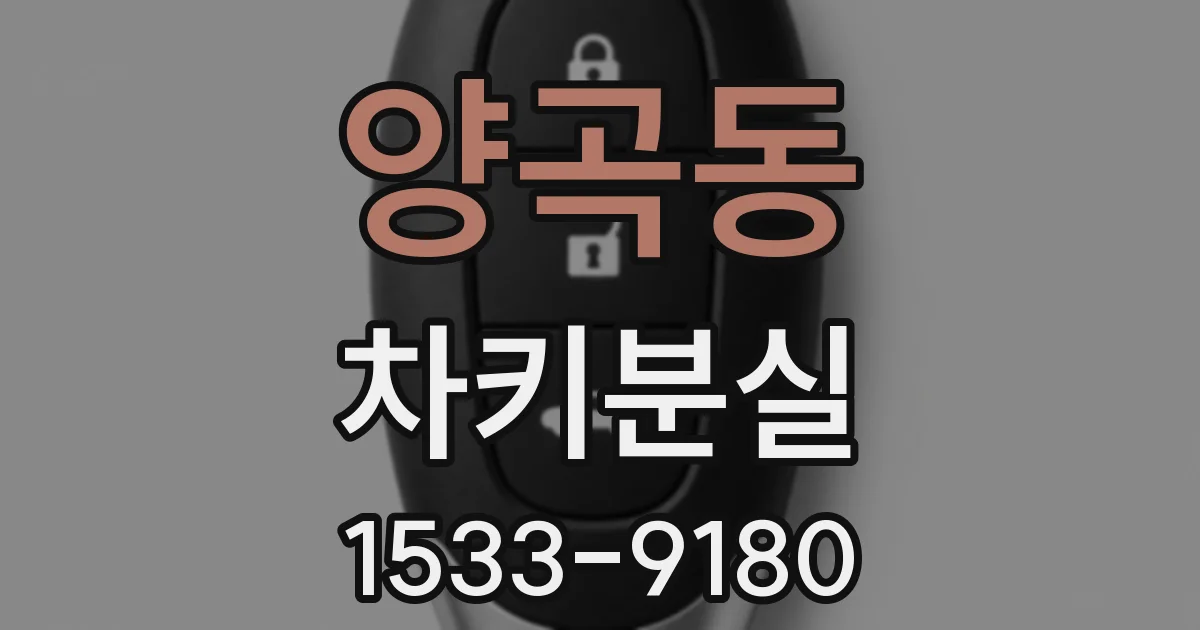 양곡동 차키분실