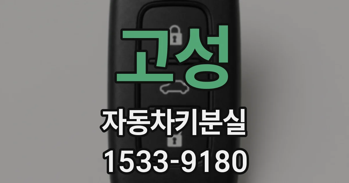 고성 자동차키분실