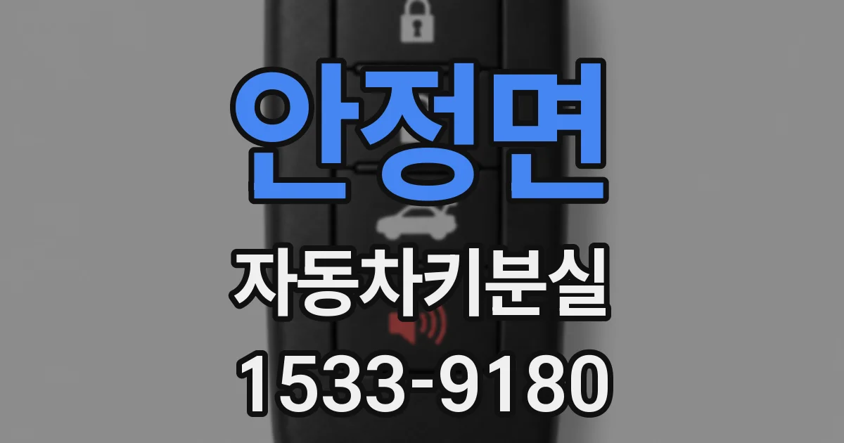 안정면 자동차키분실