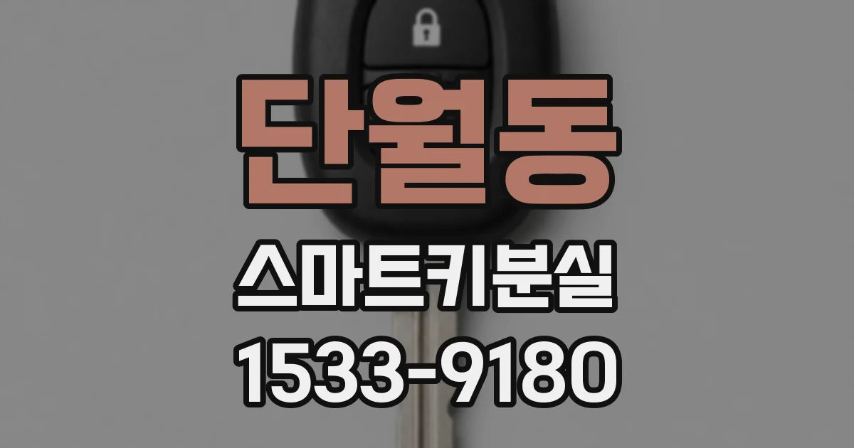 단월동 스마트키분실