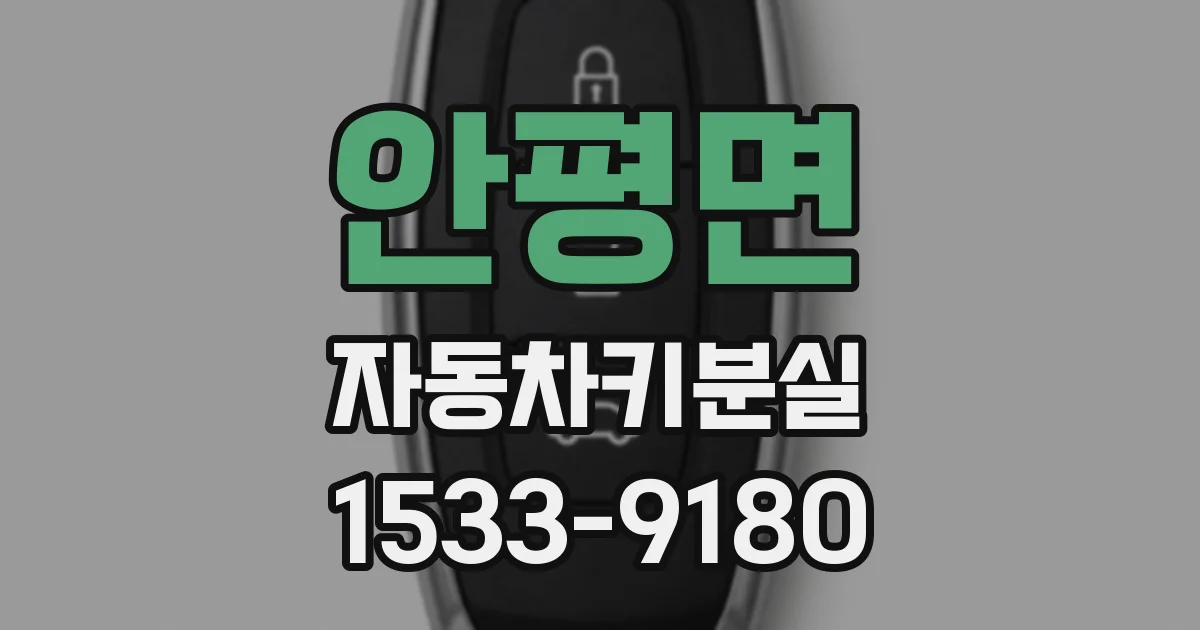 안평면 자동차키분실
