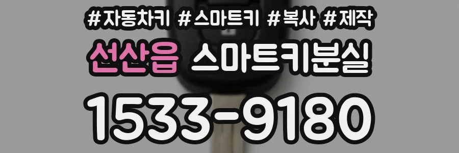 선산읍 스마트키분실