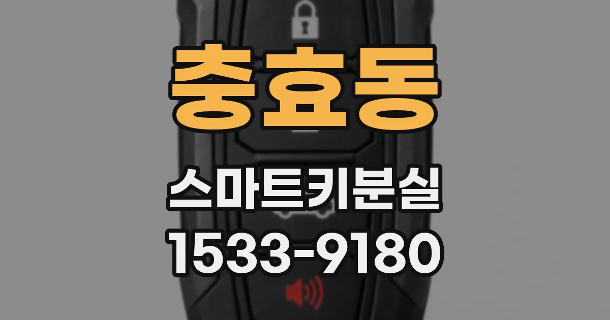 충효동 스마트키분실