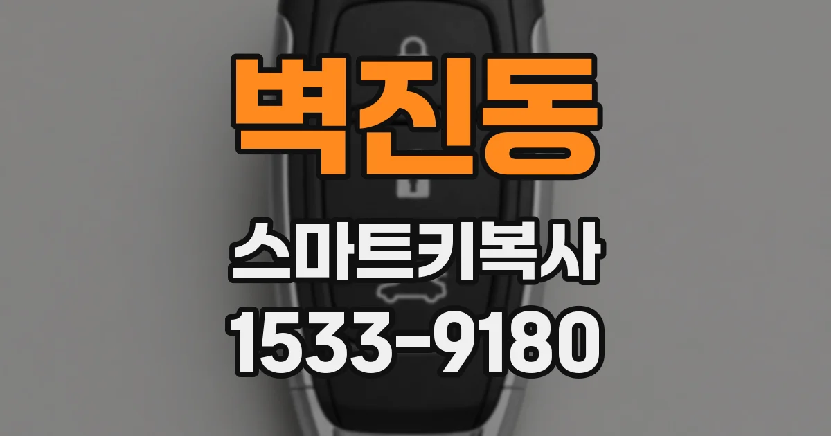 벽진동 스마트키복사