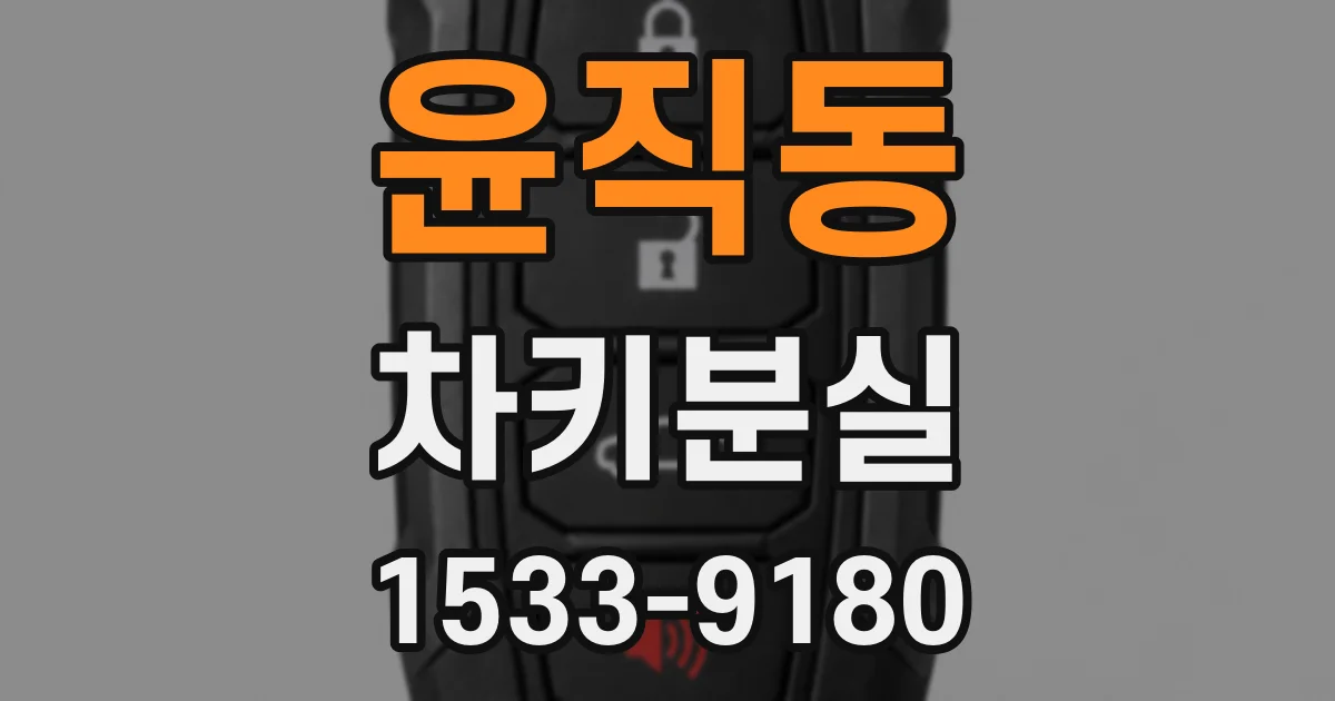 윤직동 차키분실