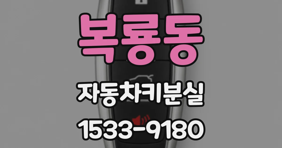 복룡동 자동차키분실