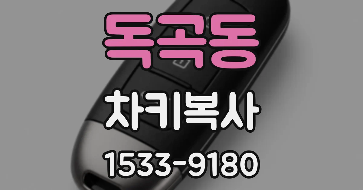 독곡동 차키복사