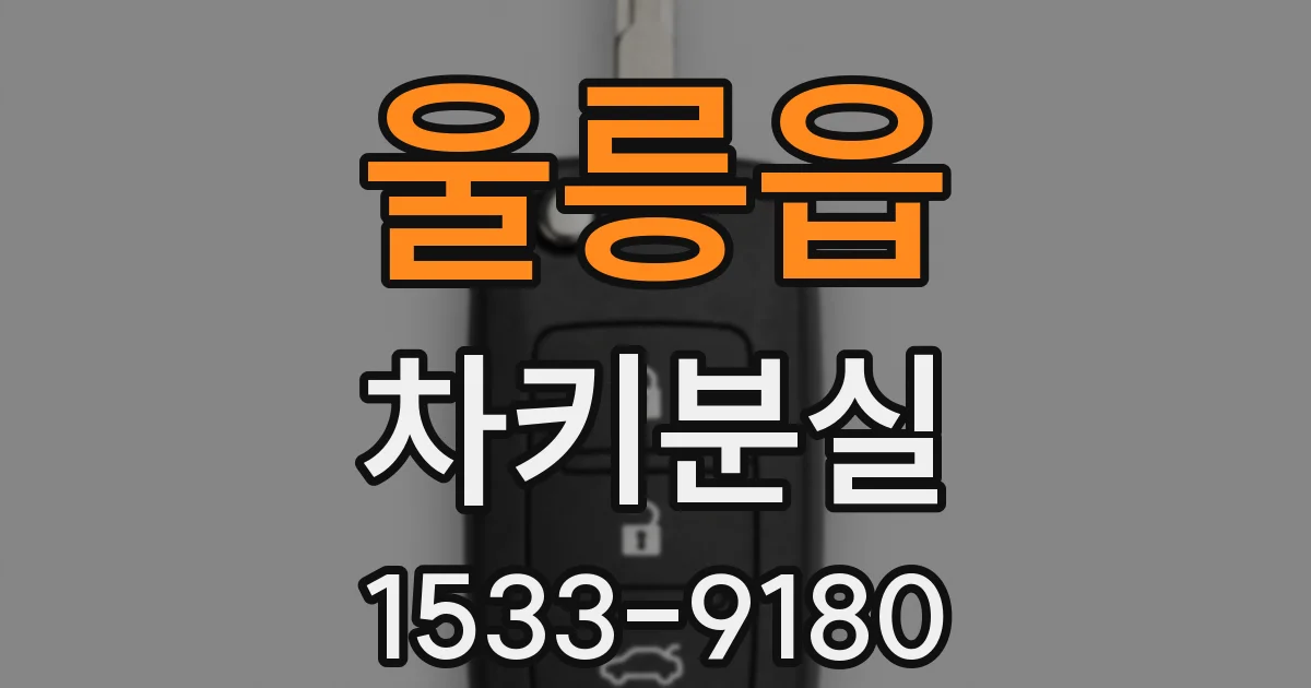 울릉읍 차키분실