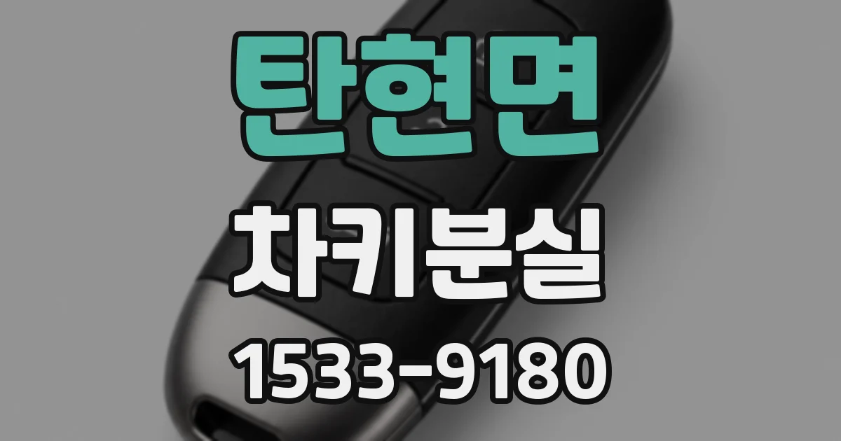 탄현면 차키분실