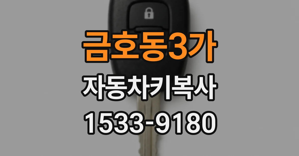 금호동3가 자동차키복사