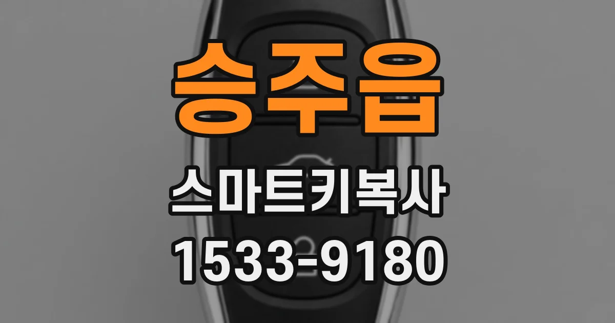 승주읍 스마트키복사