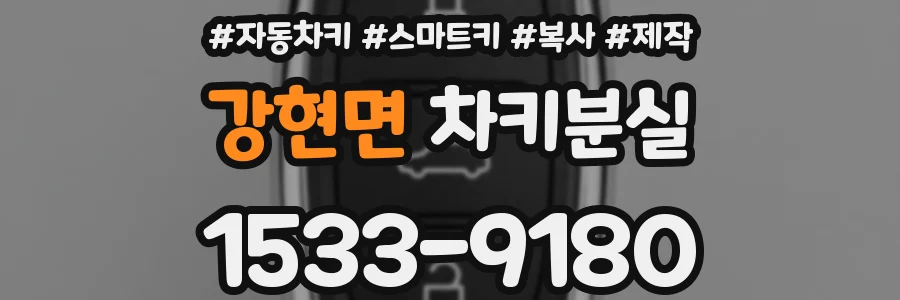 강현면 차키분실
