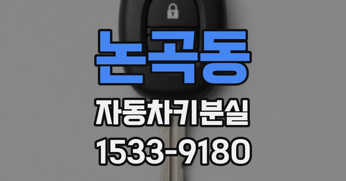 논곡동 자동차키분실