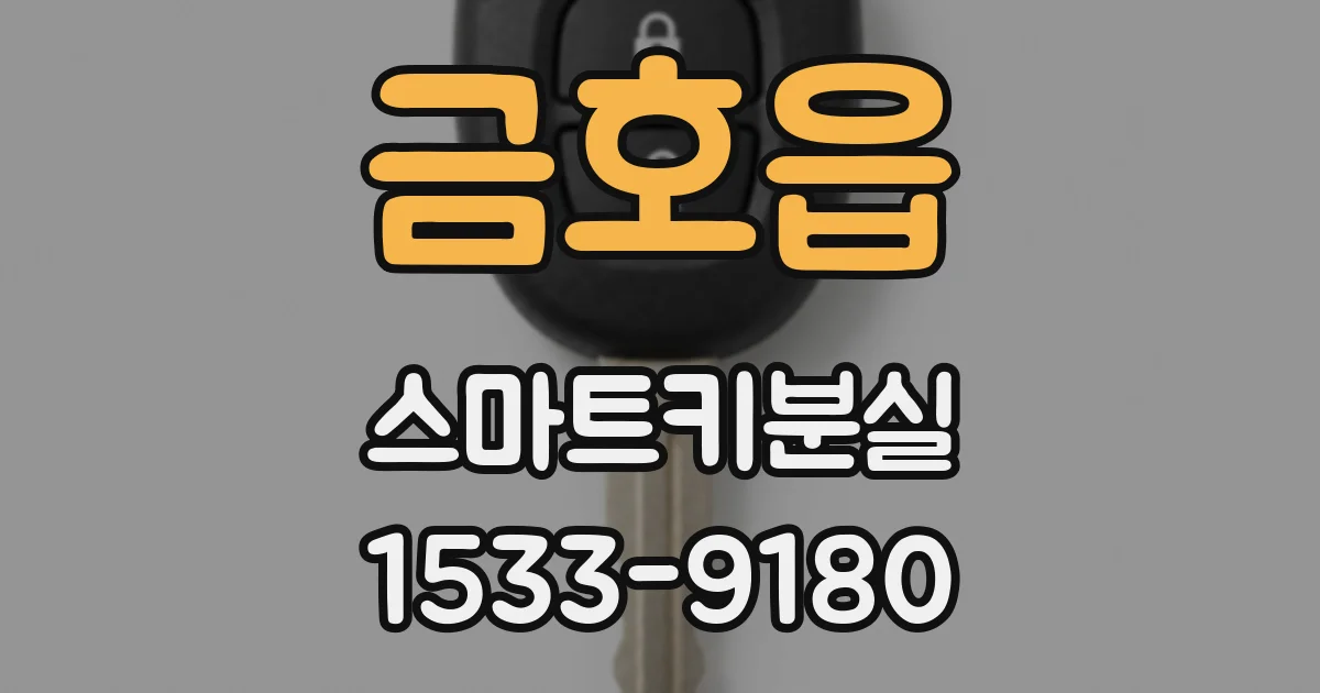 금호읍 스마트키분실