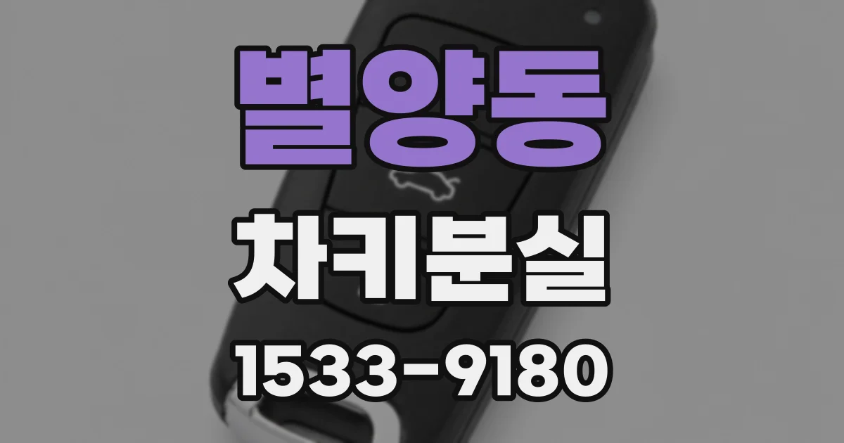 별양동 차키분실