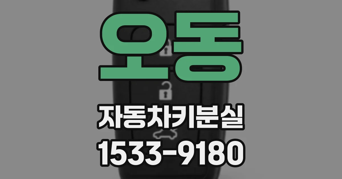 오동 자동차키분실