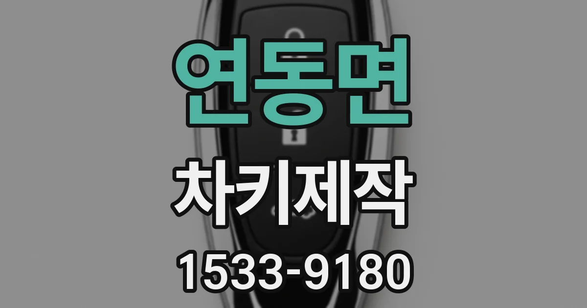연동면 차키제작