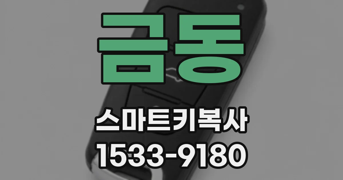 금동 스마트키복사