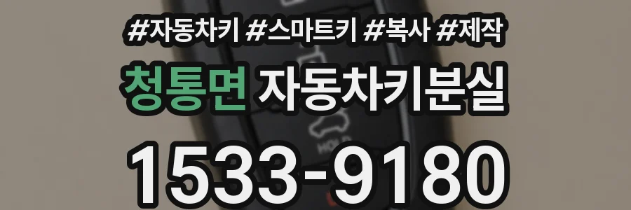 청통면 자동차키분실