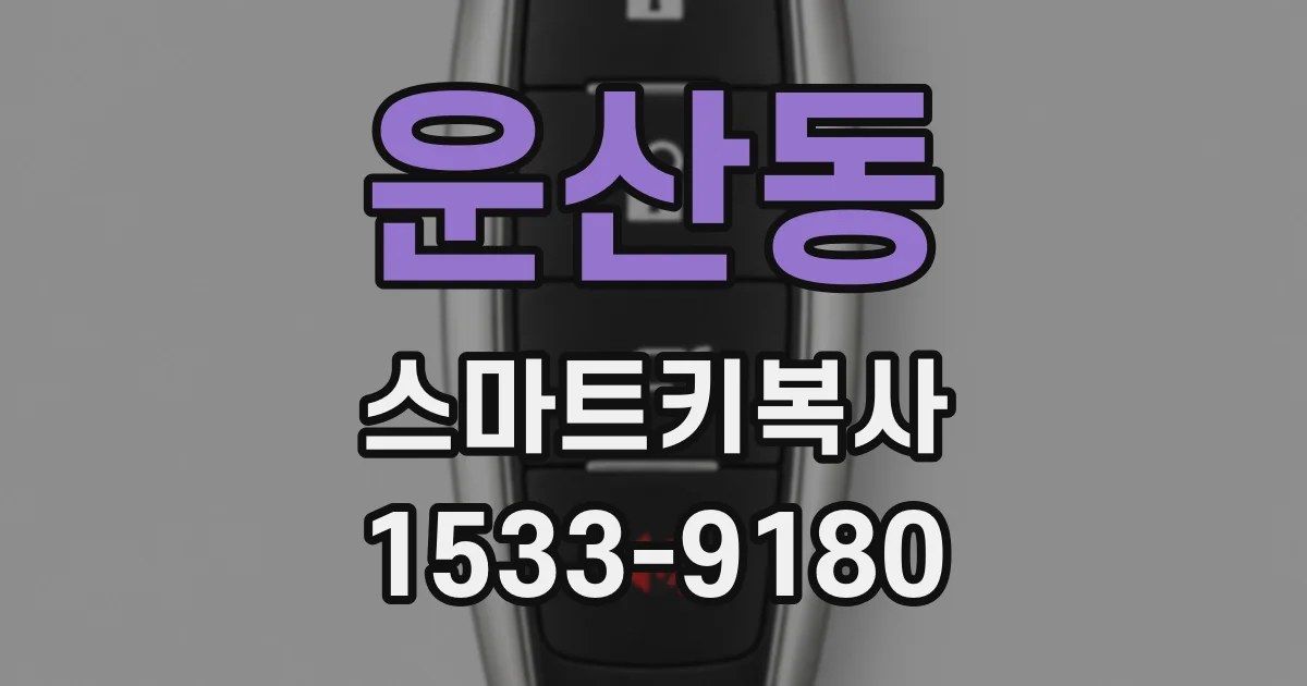 운산동 스마트키복사