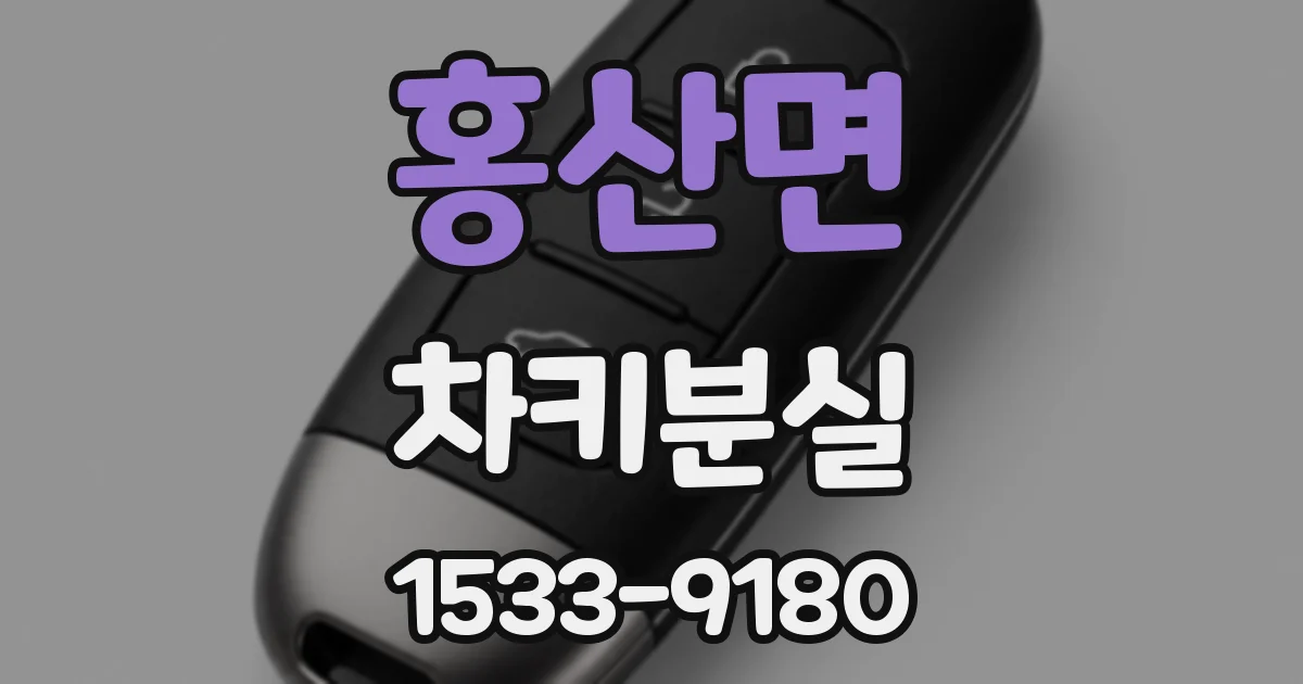 홍산면 차키분실