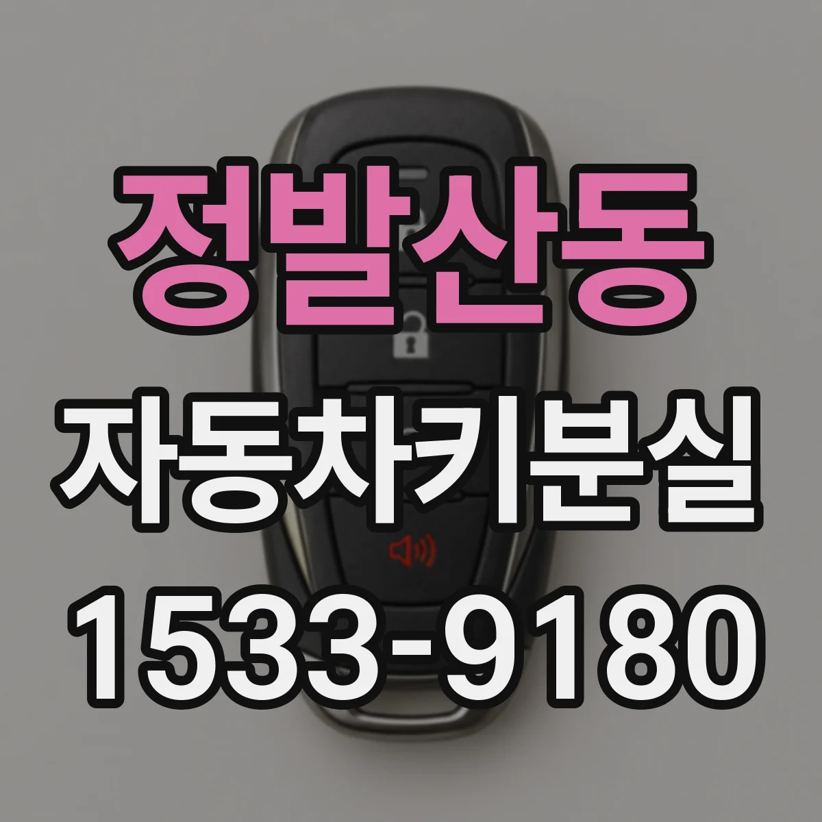 정발산동 자동차키분실